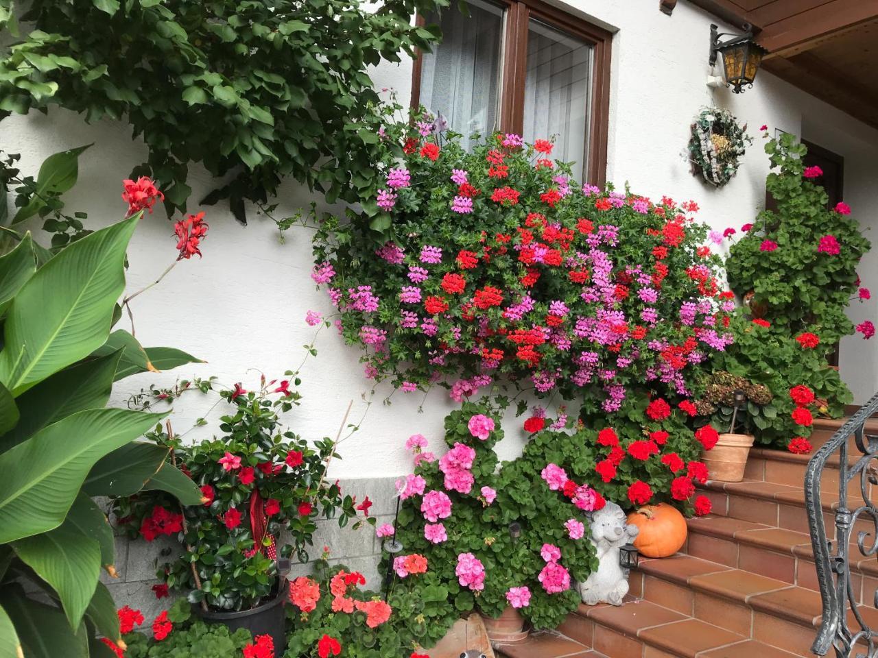 Haus Katharina Wagrain Exterior foto